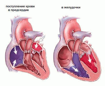 heart3.gif